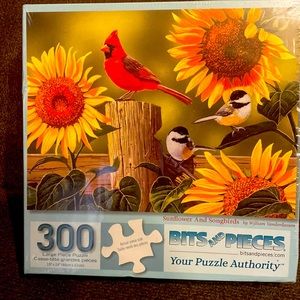 300 piece puzzle